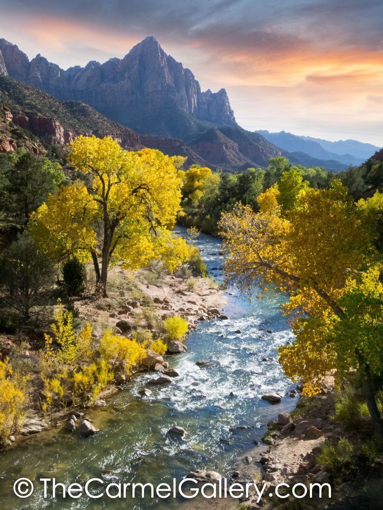 Zion Sunset