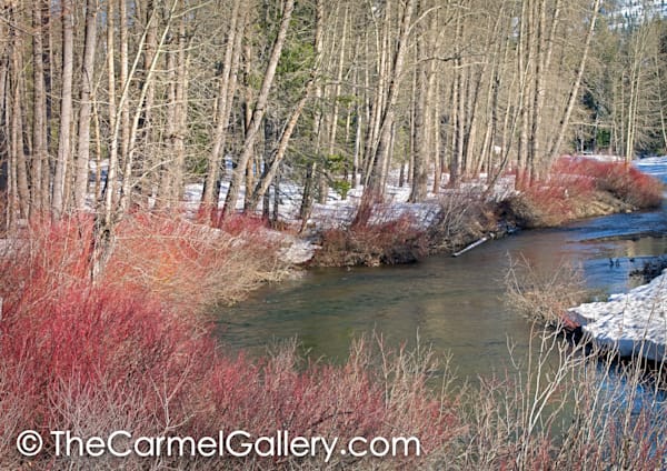 Yuba River in Winter