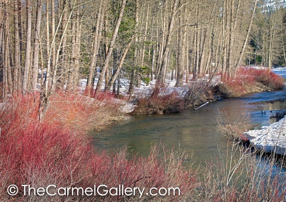 Yuba River in Winter