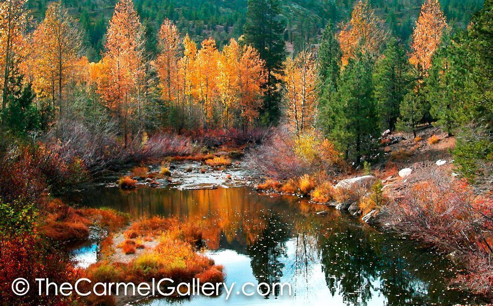 Yuba River Donner Summit