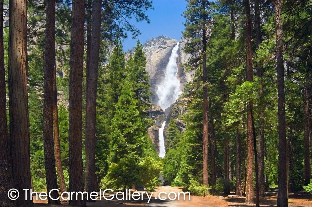 Yosemite Falls in Spring