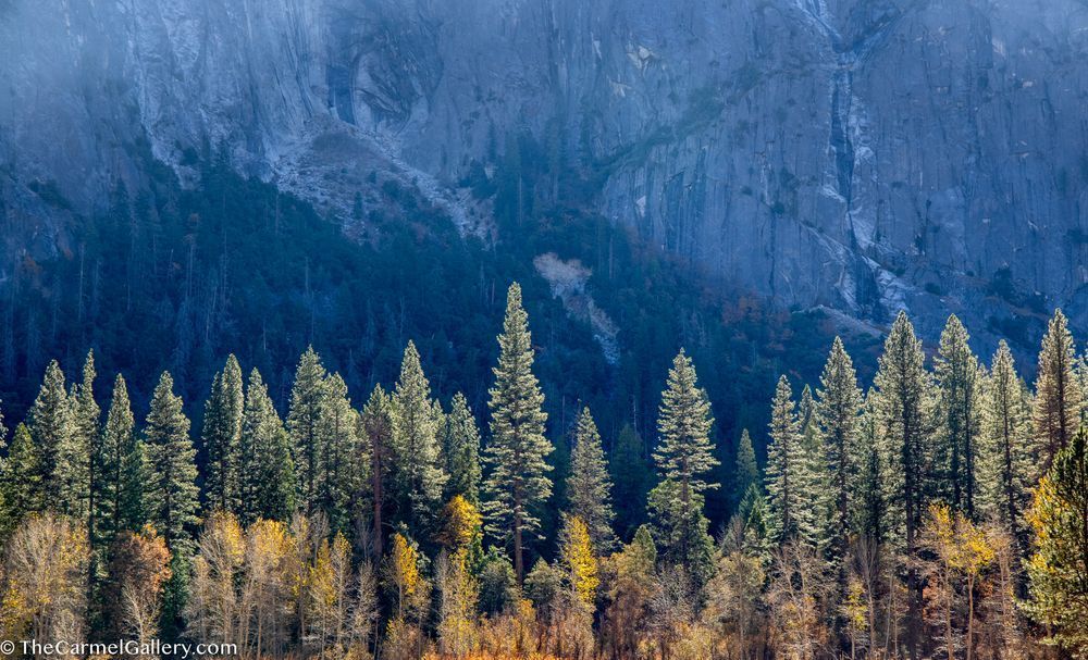 Luminous Photography Art | The Carmel Gallery