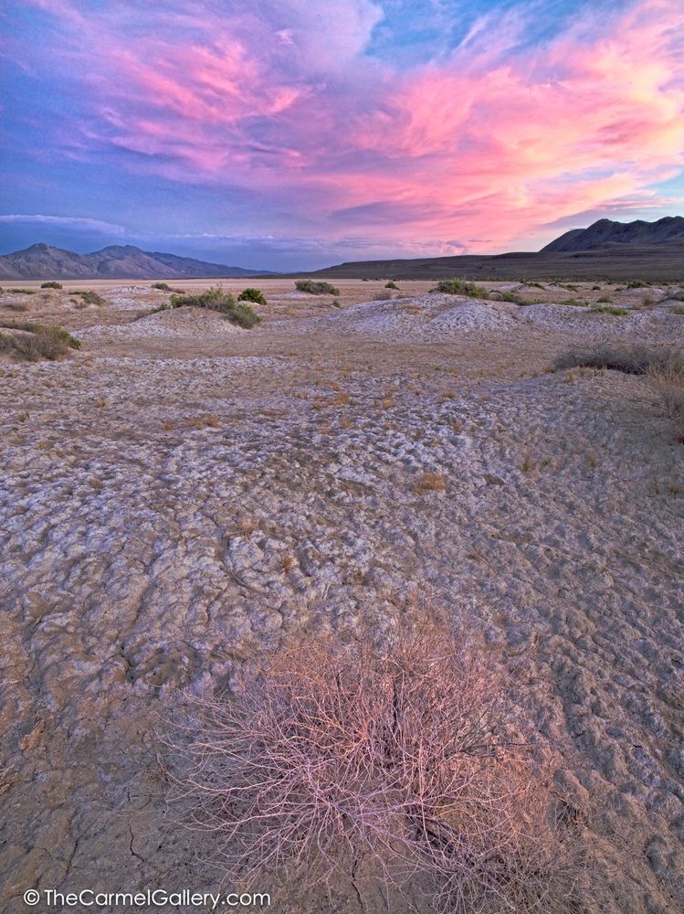 Black Rock desert photo