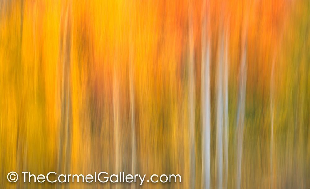 Autumn III