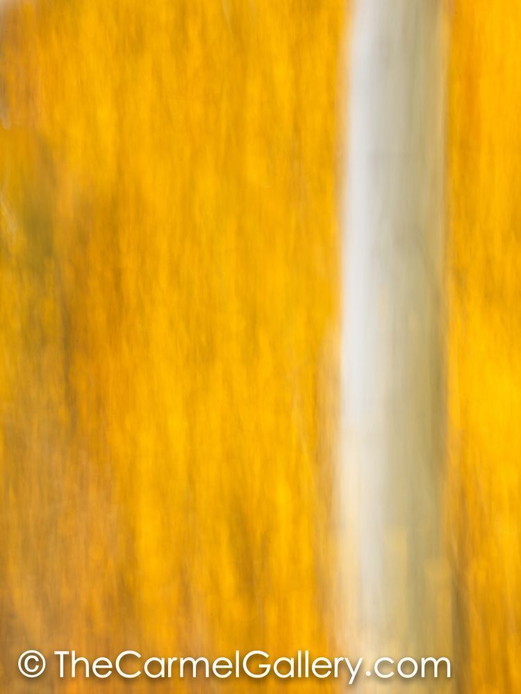 Autumn VI