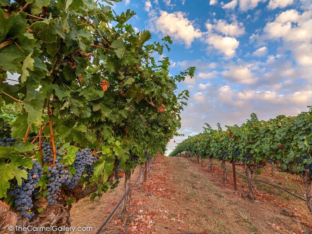Harvest Sky Photography Art | The Carmel Gallery