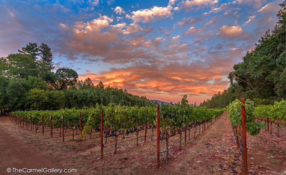 Harvest Sunset I Photography Art | The Carmel Gallery