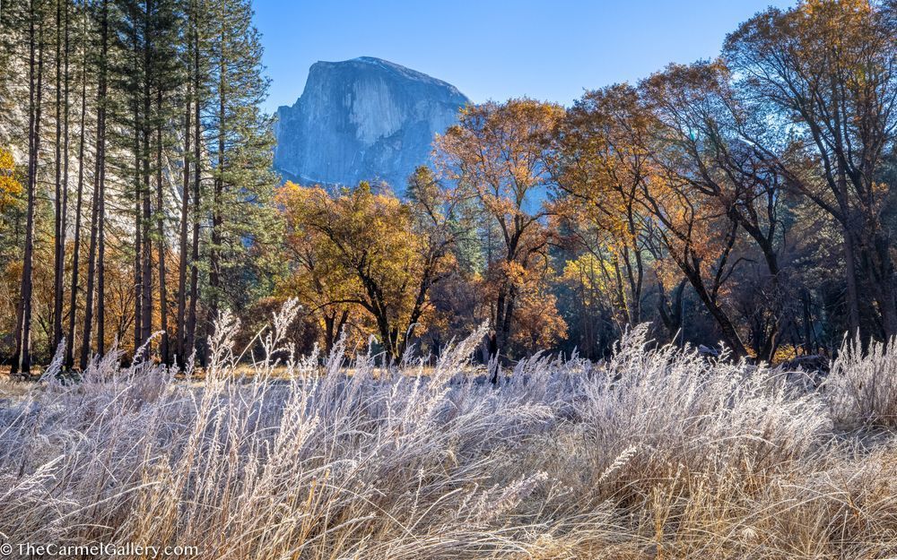 Autumn View, Half Dome Photography Art | The Carmel Gallery