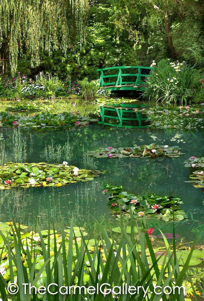 Monet's Garden