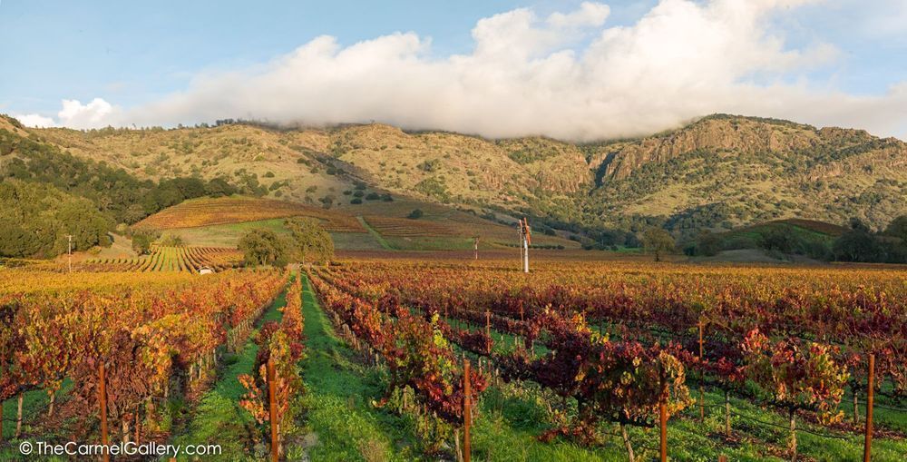 Silverado Panorama Photography Art | The Carmel Gallery