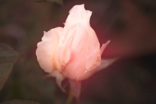 Mdawmdawmdawmdaw7qgraepd6cacehr zcfbfywxu2fyveayeunrgwctqqqltnerwweter63pcjycyco7l3wiuogn kt3kdxisuxleezsg0dkufccjsgzqqsaohdr379gmp1oxdelhxrvjkkfq lb4wqekaeicvdzseqbd5xcx hauzzbf iykzevcelwhuylv4krdlsuv6whq9n0j9r3eseqe039askrqgrlz1iykeeepowtaeksfovc7x 4twlegzozvq3f5zutfulxyvbrcrywsvfrinv3scux1j2 cbygbko19iywfrue 0
