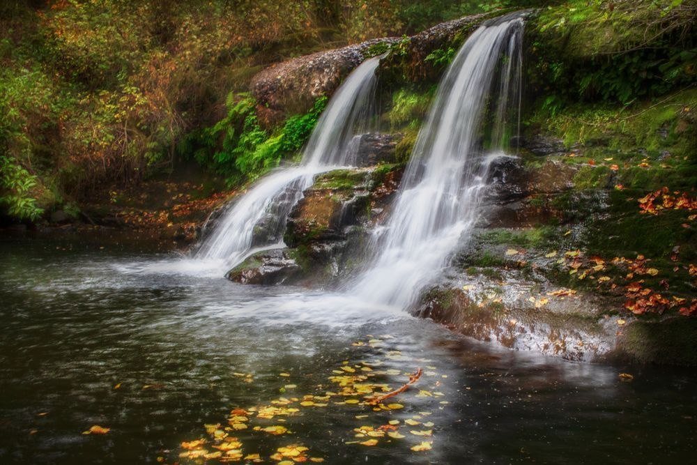 Delightful Autumn - Calendar Image by Janie Lynn Fine Art