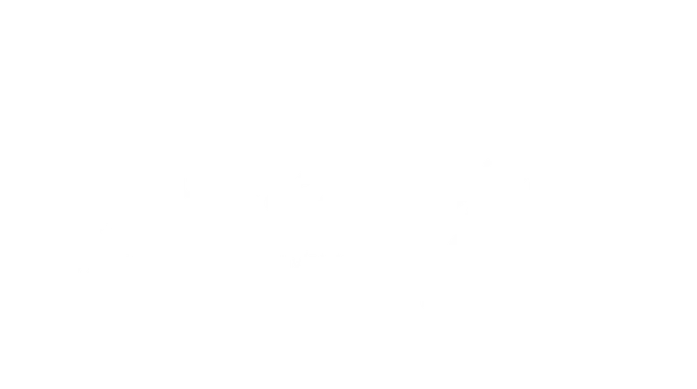 Janie Lynn Fine Art
