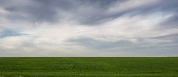Green Field Landscape Under Soft Cloudy Sky