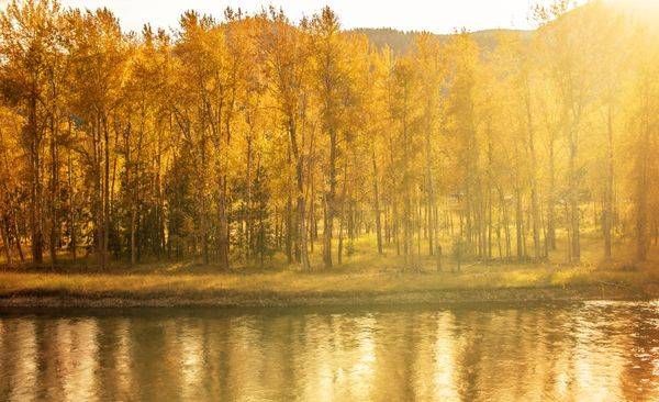A Place I Carried Home | Montana Autumn River Photograph