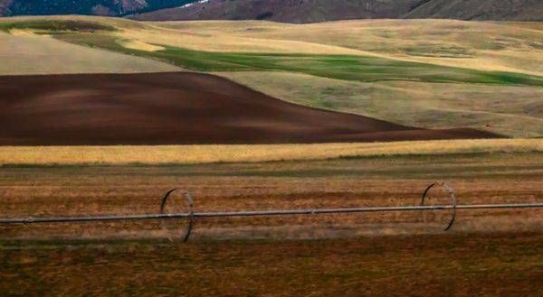 Idaho In Spring Photography Art | Janie Lynn Fine Art 