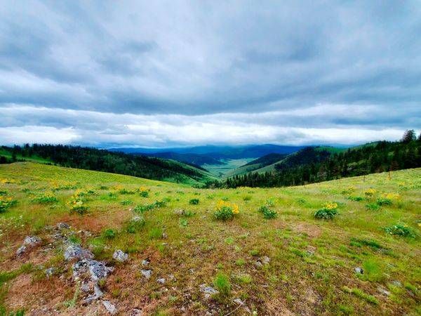 Montana Bison Range