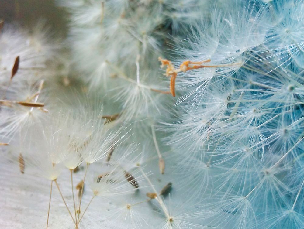 Simple Pleasures 3