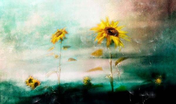 Imaginative artwork 