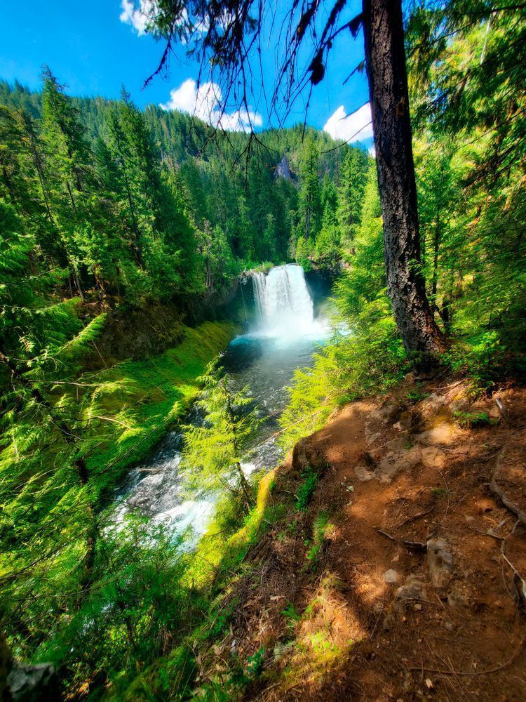 Koosah Falls, waterfall