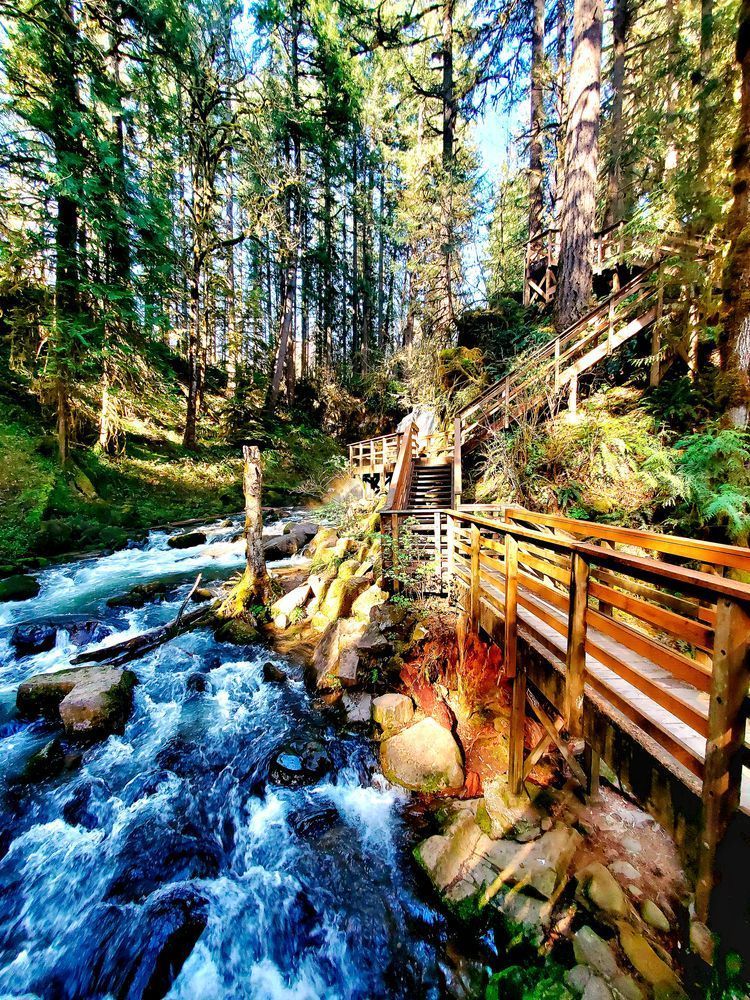 waterscape in Oregon