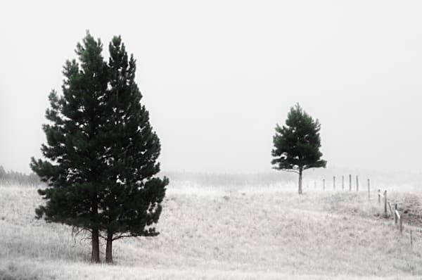 Black and White Landscape