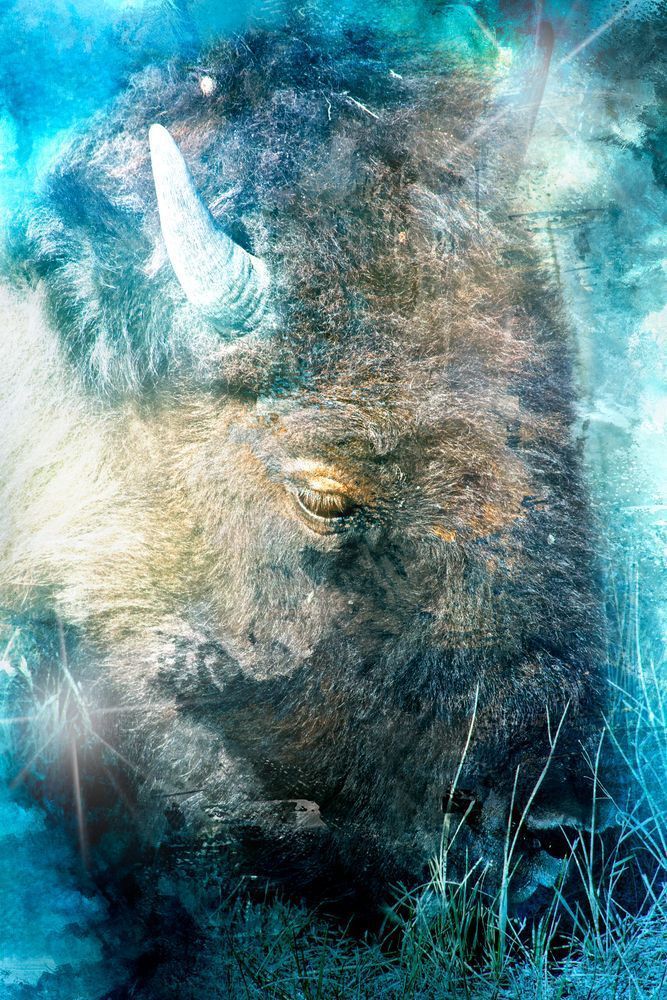 Poem of a Wise Beast- Fine Art
