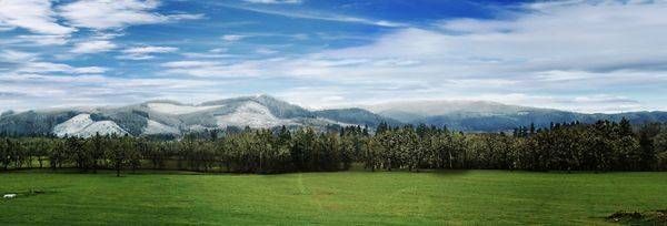 February Farmland in Brownsville, Or.