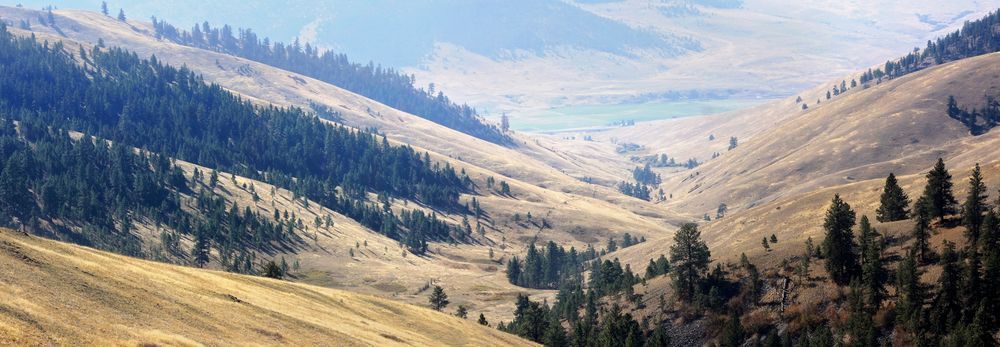 Panorama National Bison Range, Montana