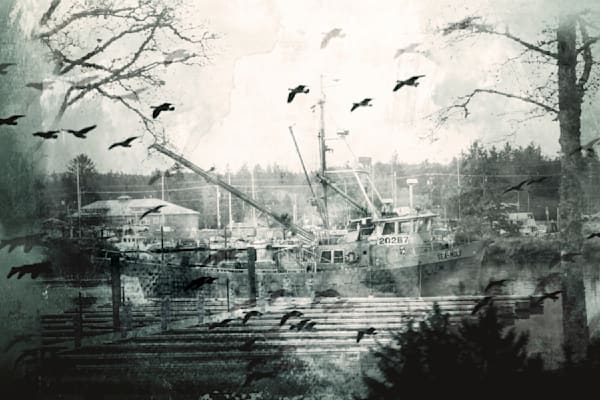 Harbor Collage