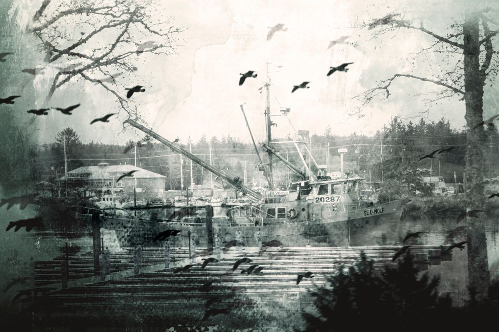 Harbor Collage