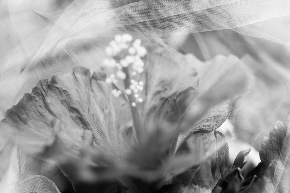 Dreamy Flower Art