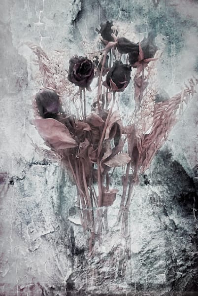 Enlightened – Limited Edition Monochrome Floral Art Print by Janie Lynn | Fine Art Photography

