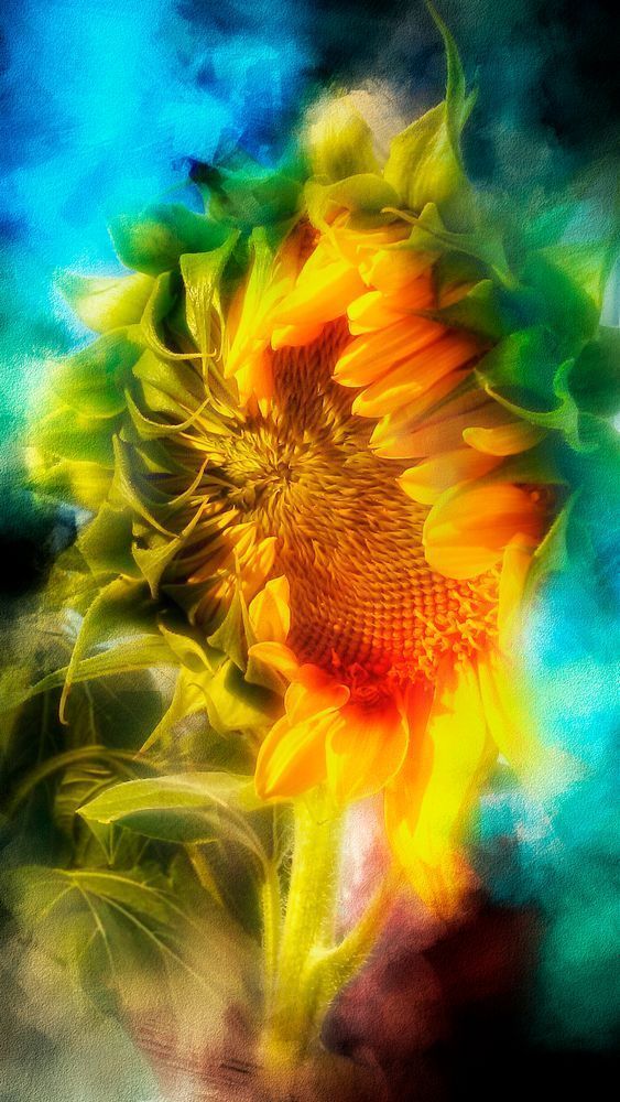 You are my sunshine set