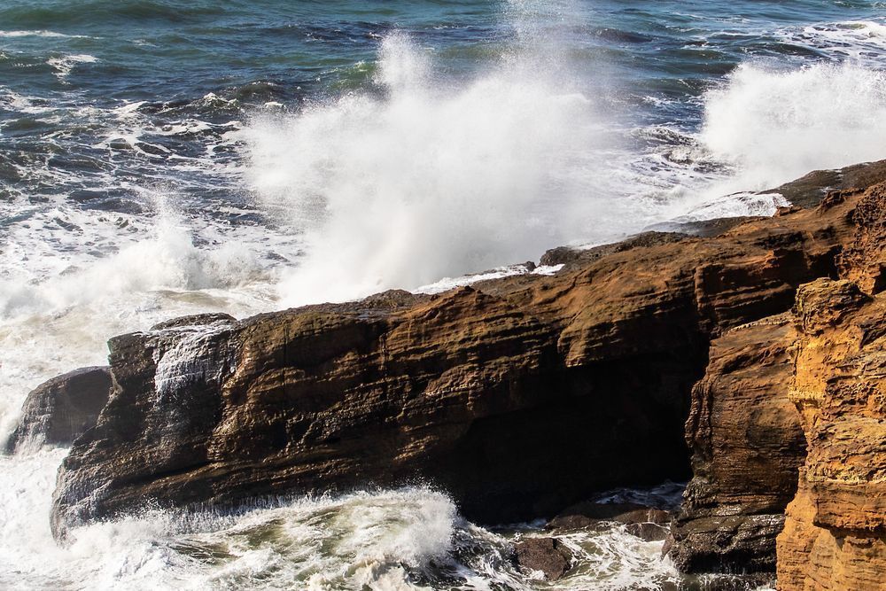 Spring on The Oregon Coast 2025