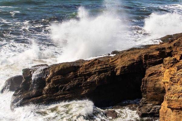 Spring on The Oregon Coast 2025