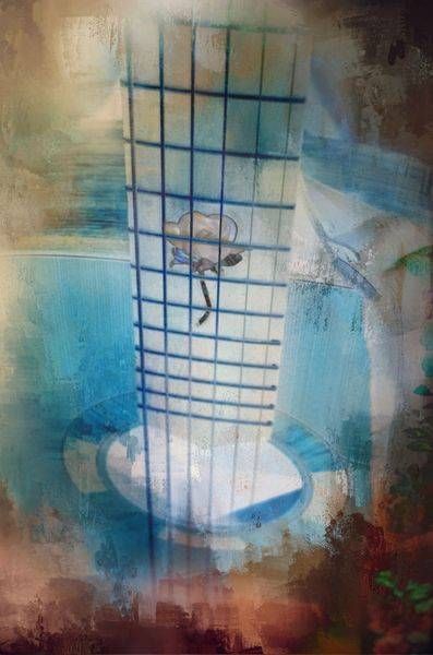 Guitar Art