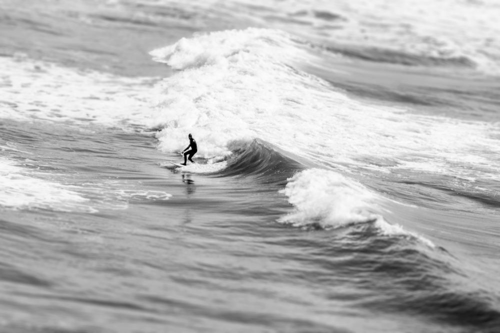 Surfing the Waves- Oregon Coast