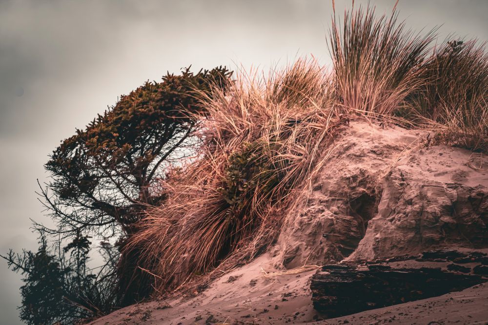 Tracing the Shore – Textured Coastal Landscape Photography by Janie Lynn

