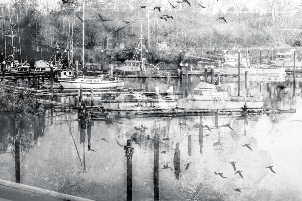 Harbor Collection | Fine Art Harbor & Boat Photography by Janie Lynn