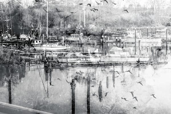 Harbor Collection | Fine Art Harbor & Boat Photography by Janie Lynn