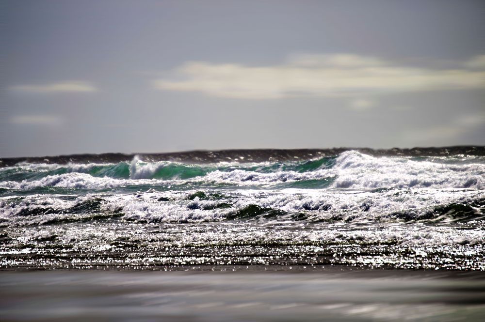 Wave of Beauty and Originality