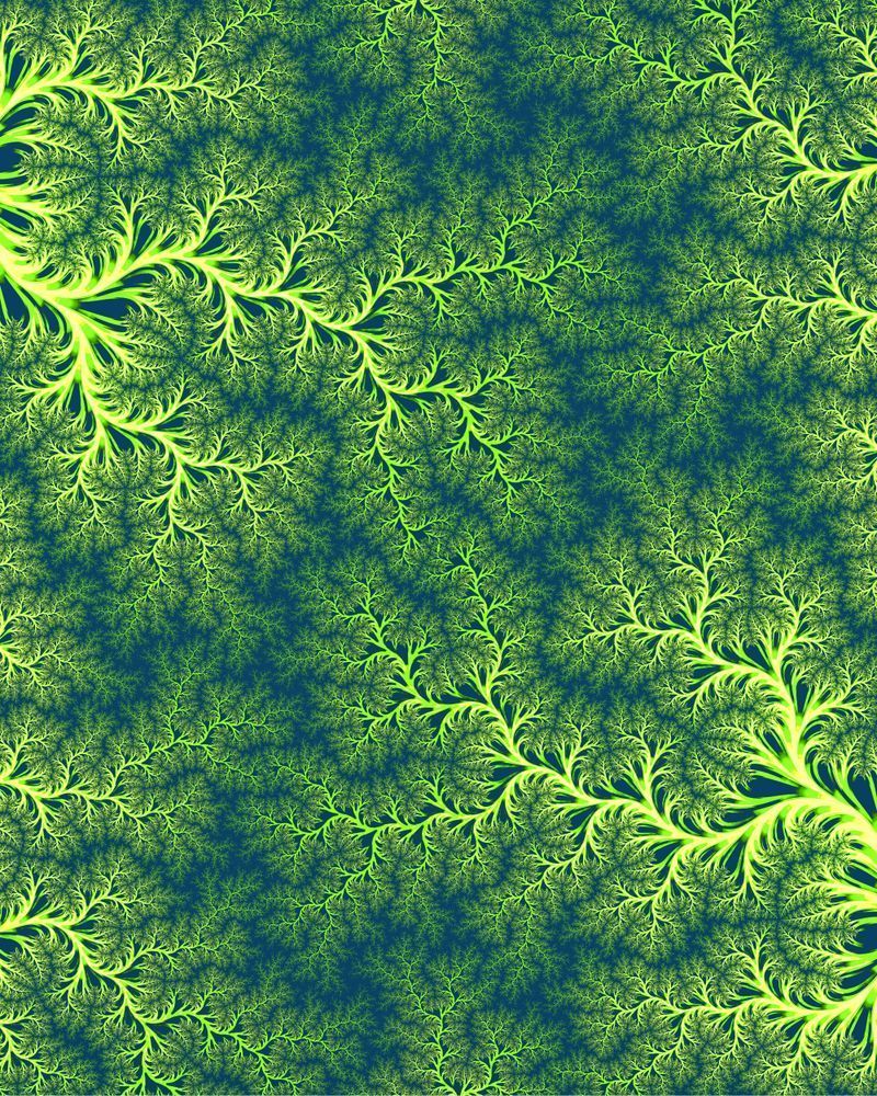 Canopy (Old) Art | Ethersight Art