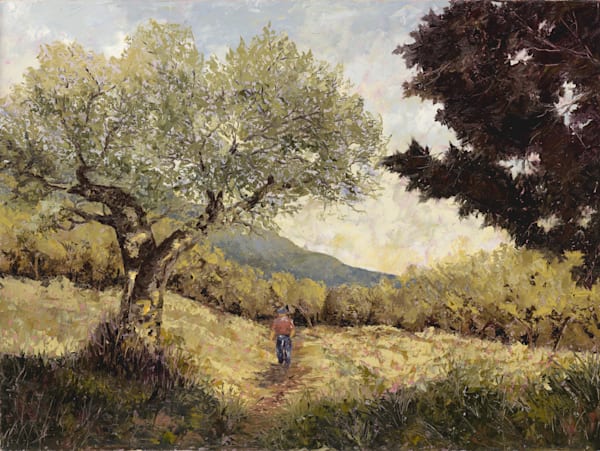 Assisi Olive Grove