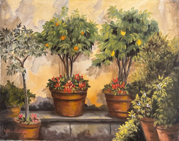 lemon tree topiary