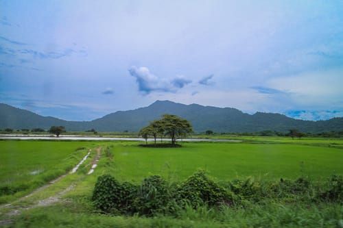 Mdawmdawmdawmdaw7qgraepd6cacehr zcfbfywxu2fyveayeunrgwctqqqltnerwweter6yomfiojy24adow ljj7f22f2vd2s3k0fn 38ezqodftc2xeuhdjufahdziomokxodj3hs jg da6ji5eudq olwagpj5emn43iitfufd fvoedq9i2cbdgsf3b5f7 tkbf6 xregyyoz4nabmgbal87cvbfngjcfaho65bko xxot qf pe9i8ipktihwiadye4shhxq32ywfxd9rtdffrjqpntrrdl55mrzxslfrs7pa6whhdogr n0nvkwjwpacd6 i dn6shuotd7lv066eue