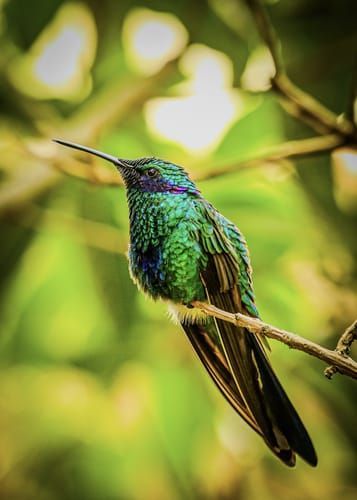 Mdawmdawmdawmdaw7qgraepd6cacehr zcfbfywxu2fyveayeunrgwctqqqltnerwweter6yomfiojy24adow ljj7f22f2vd2s3k0fn 38ezqodftc2xeuhdjufahdziomokxodj3hs jg da6ji5eudq olwagpj5emn5kyxcfa8hokfsnbylv79 nennocl5 sdpvu  sqo8bw4tn3fazsbx9ukk7rruxnjxjh yrar69tuxayrkvfkd8 4o9hilpxvqknc5uea9nmmanejcerzoatjphhtigrrrldeuj6hvlu gdv1ani9l6vivs2qsazfgb1orfloopnu2i1ab5