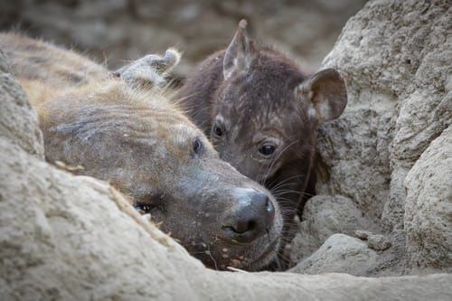 Mdawmdawmdawmdaw7qgraepd6cacehr zcfbfywxu2fyveayeunrgwctqqqltnerwweter6yomfiojy24adow ljj7f22f2vd2s3k0fn 38ezqodftc2xeuhdjufahdziomokxodj3hs jg da6ji5eudq olwagpj5emn5kbxicb8cip1osb0ji74qjqhc2lvouqtxus7p3erki3pe92 grxvg 6luou7ytliaz0makibkhur5yqevhdrh6 4orhijj2faxy8b2vaplkoxvemvzrcsv4drf2435dl5mprtisgdzrl9apnky9i3jkjhrinpv1krto2vs g