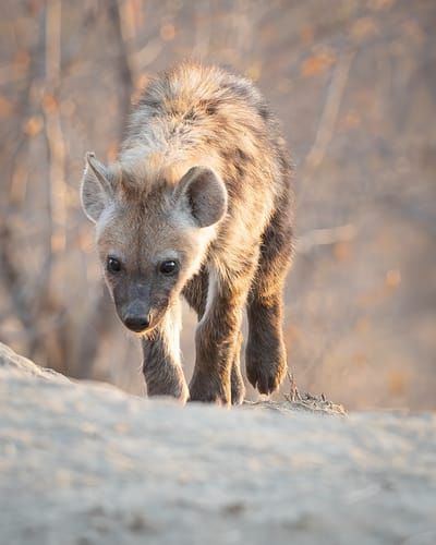 Mdawmdawmdawmdaw7qgraepd6cacehr zcfbfywxu2fyveayeunrgwctqqqltnerwweter6yomfiojy24adow ljj7f22f2vd2s3k0fn 38ezqodftc2xeuhdjufahdziomokxodj3hs jg da6ji5eudq olwagpj5emn5rd3kgeuzaau6oyhhi1e6ahn08iplir7qqhklwfybzncy9wczocvon8r mfprzz2en0qjqnuxrebot9a vm dn clptyjj2faxy4sjgbm3z ycem5oqjpfrjqjh9cgvl49dbl5qegoba1q u4vzsrjrt1k7r57hk97rwsdsbvxujvukys4gt21vnl9djx8r8wql6w gonotsctcq