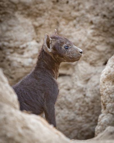 Mdawmdawmdawmdaw7qgraepd6cacehr zcfbfywxu2fyveayeunrgwctqqqltnerwweter6yomfiojy24adow ljj7f22f2vd2s3k0fn 38ezqodftc2xeuhdjufahdziomokxodj3hs jg da6ji5eudq olwagpj5emn5rd3kgeuzaau6oyhhi1e6ahn08jfpir7qqhklwfyb6h8mwmmycsuqw6abmfulwzmso36jsov nvwgcsewva6dy5dthuzzlyuk5eiw vfpojowaqmjmd3nf h8ih8nrdl53ok17u1frs60aq0nhlcqn6dxi7a0xurhxqhir6v5etzk4etoyh5dyvl 6xivpz9v2hcfmixsaswa